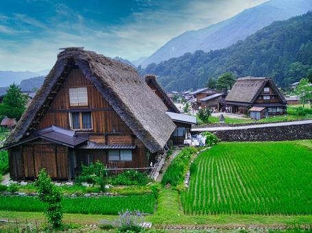合掌造り 合掌造りの写真