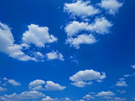 夏空 夏空の写真
