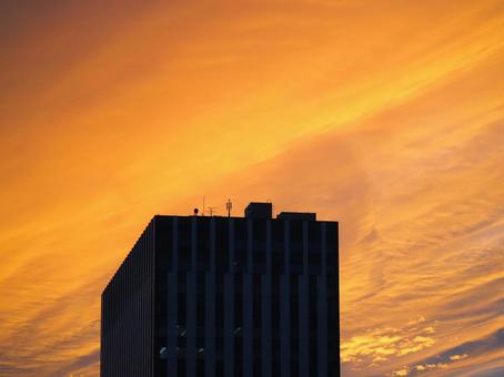 夕方のビル 夕焼け,空,夕方の写真素材