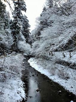 雪の貴船川【京都市左京区】 貴船川,貴船,京都の写真素材