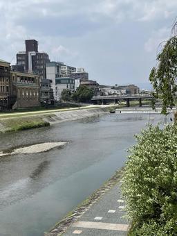 鴨川 鴨川の写真