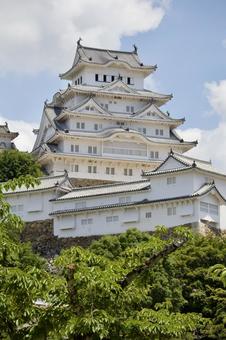 晴天の姫路城天守閣 晴天の姫路城天守閣 姫路城,城,兵庫の写真素材