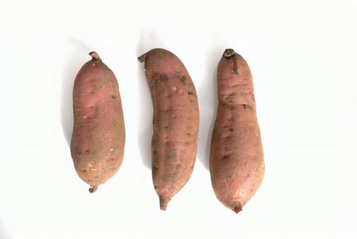 さつまいも　白背景 さつまいも,サツマイモ,野菜の写真素材