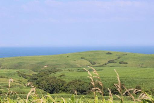 草原の丘と青い海の夏風景 草原の丘と青い海の夏風景の写真
