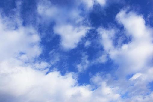 秋の空40 秋の空40の写真