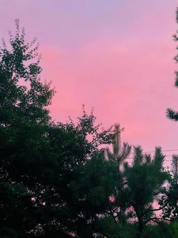 美しい夕焼け 美しい夕焼け 夏,夕焼け,夕暮れの写真素材