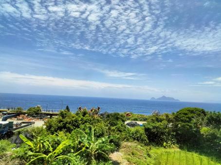 亀山島 亀山島の写真
