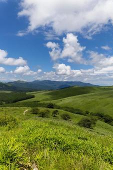 初夏の霧ヶ峰 車山高原 04 初夏の霧ヶ峰 車山高原 04の写真