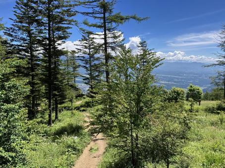 入笠山の登山風景(登山口~湿原間) 入笠山の登山風景(登山口~湿原間)の写真