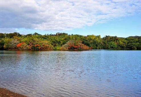 湖の色づき始めた初秋の風 湖面,初秋,色づき始めの写真素材