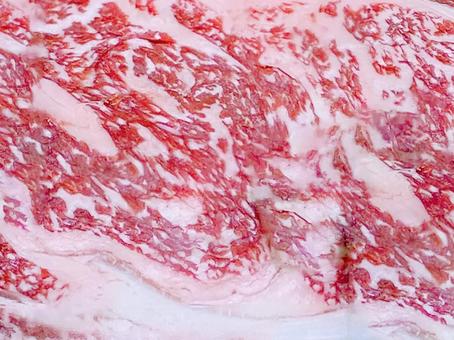 牛肉（ロース） 牛肉,肉,ロースの写真素材