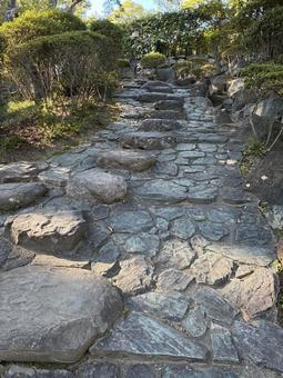 雁木 石段   雁木 石段の写真