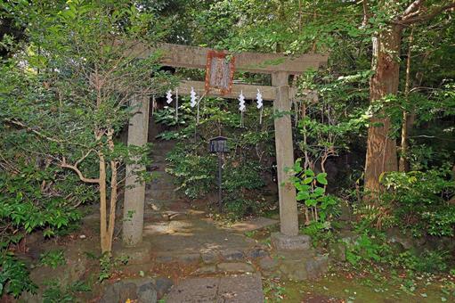 赤坂氷川神社(港) 赤坂氷川神社(港) 赤坂氷川神社,素戔嗚尊,奇稲田媛命の写真素材