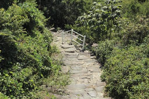 Photo, road, mountain, walk, 
