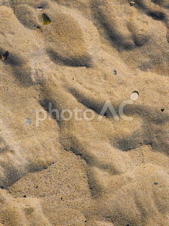 濡れた砂 砂,濡れた,砂浜の写真素材