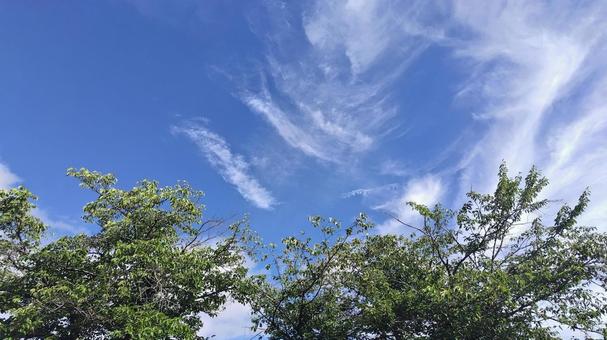 空 空の写真
