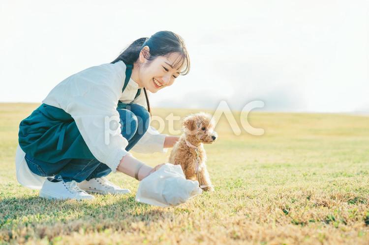犬の散歩で排泄物を片つける女性 犬,ペット,愛犬の写真素材