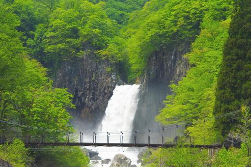 苗名の滝 苗名の滝の写真