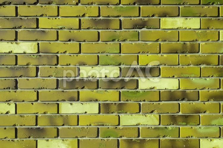 レンガの壁色16（イエロー） レンガ,壁,カラーの写真素材