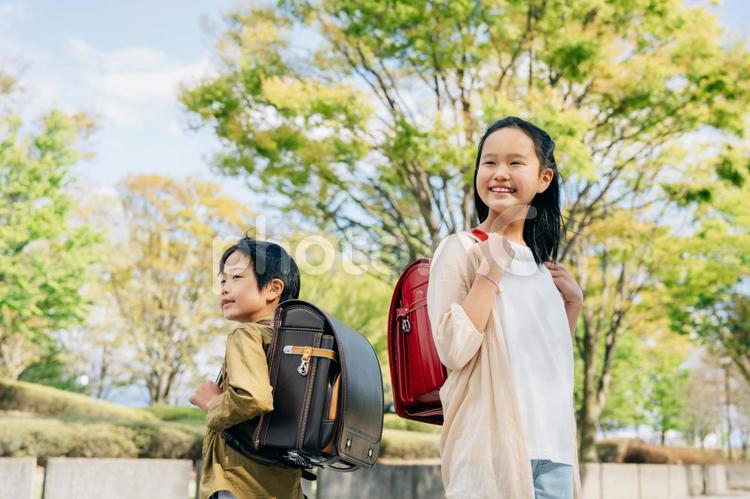 新緑と男女の小学生　　 小学生,子供,夏の写真素材