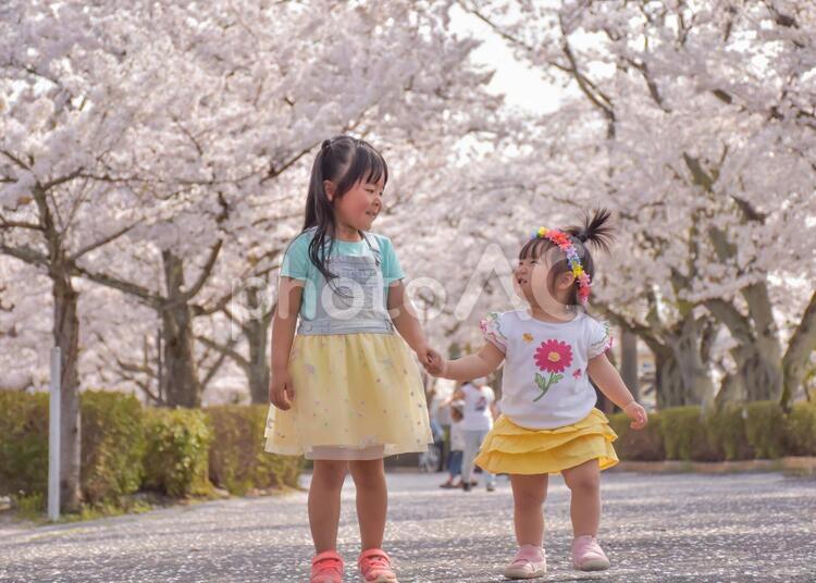 手を繋いで見つめ合う子供たち 桜,春,手をつなぐの写真素材