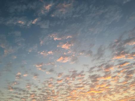 うろこ雲 うろこ雲の写真