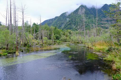 やまと河の風景の写真