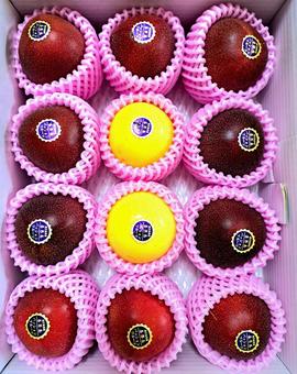 Photo, passion fruit, summer gift, fruits, 