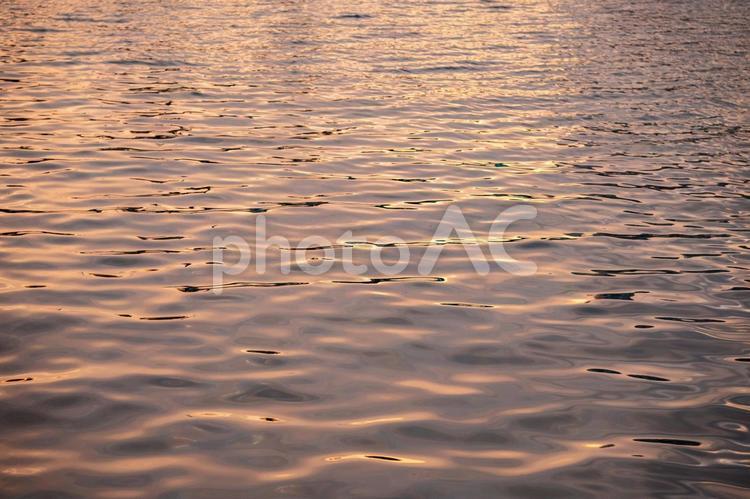 夕焼けに染まる静かな海の水面 海,水面,波の写真素材