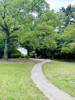 緑の中でウォーキング ウォーキング,散歩道,公園の写真素材
