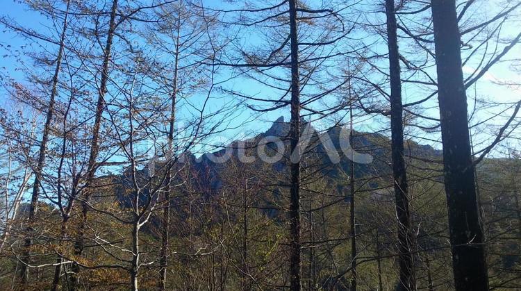 日本　山梨　みずかき山 日本,山梨,みずかき山の写真素材