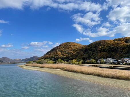 秋の千種川2 千種川,景色,風景の写真素材