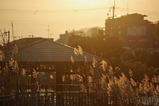 黄金色の冬の夕景 夕景,たそがれ,黄金色の写真素材