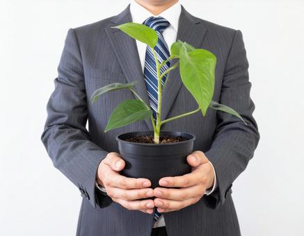 観葉植物を手にするビジネスパーソン 観葉植物を手にするビジネスパーソンの写真