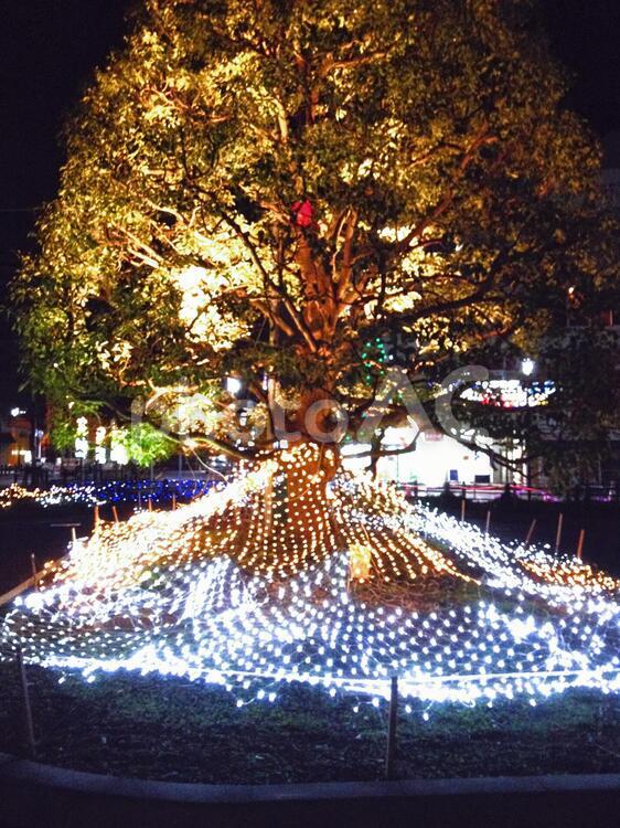 街のイルミネーション　#2 イルミネーション,電飾,飾りの写真素材
