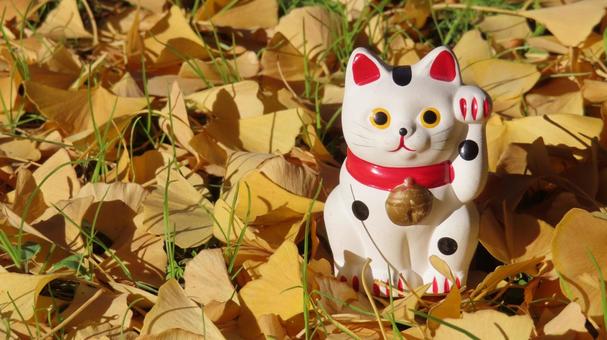 招き猫　銀杏の黄葉 招き猫,縁起物,置物の写真素材