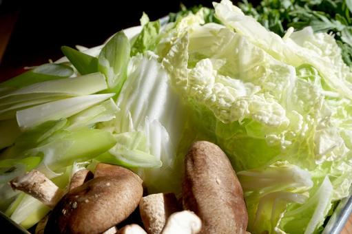 野菜 白菜,椎茸,野菜の写真素材