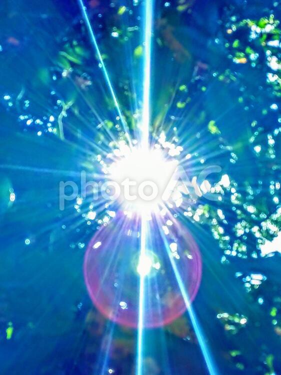 まぶしく輝く美しい木漏れ日 木漏れ日,まぶしい,眩しいの写真素材