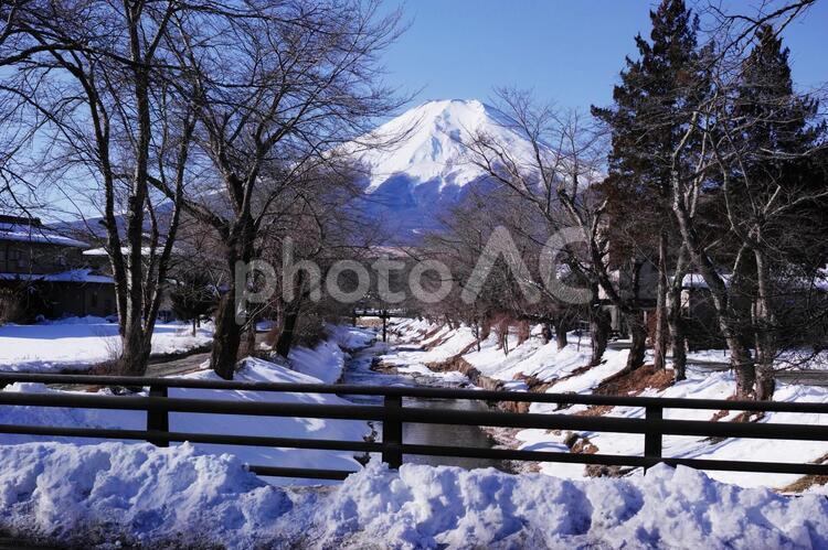 忍野村から見た富士山 富士山,忍野村,世界遺産の写真素材