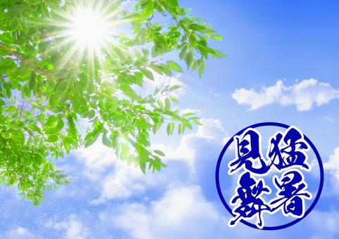猛暑お見舞い 1 猛暑お見舞い 1 猛暑,残暑お見舞い,夏のご挨拶の写真素材