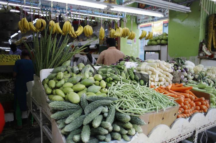 たくさん積まれた野菜 野菜,食材,ベジタブルの写真素材