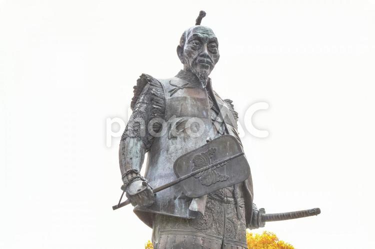 豊臣秀吉像（大阪城豊國神社） 豊臣秀吉,大阪,銅像の写真素材