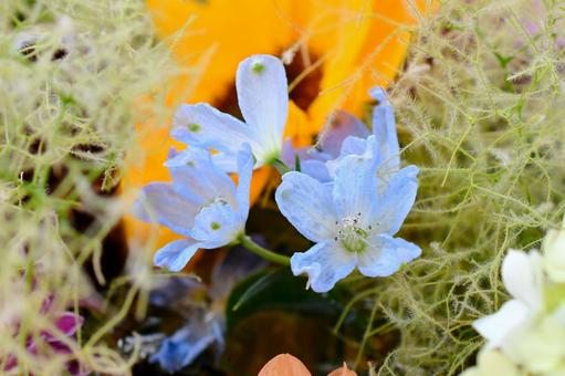 花手水 花手水,神社,手水舎の写真素材