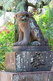 根村氷川神社(板橋) 根村氷川神社(板橋)の写真