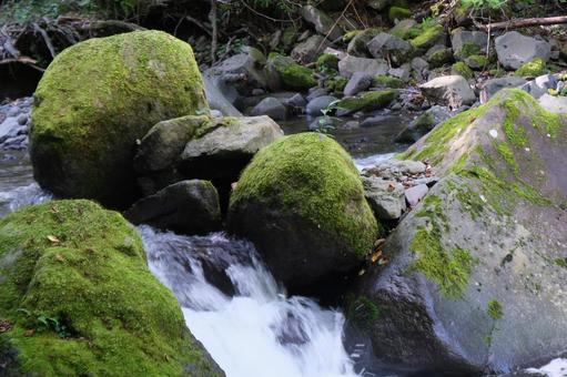 渓谷 渓谷,水辺,渓流の写真素材