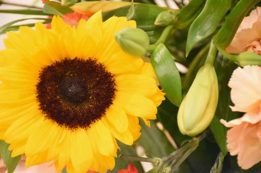 Photo, flower, flower material, bouquet, 