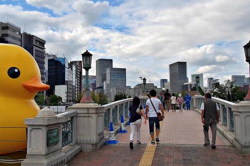 休日の中之島公園の風景 休日の中之島公園の風景 中之島公園,中之島バラ園,ばらぞのばしの写真素材