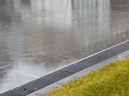 雨 雨の写真