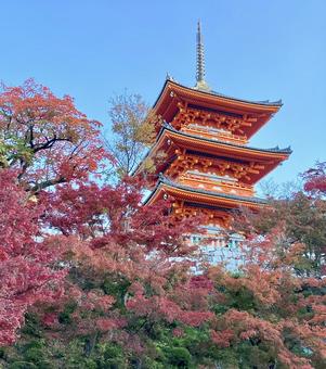 三重塔 三重塔の写真