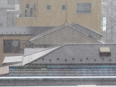 激しいゲリラ豪雨 激しいゲリラ豪雨 災害,雨,ゲリラ豪雨の写真素材